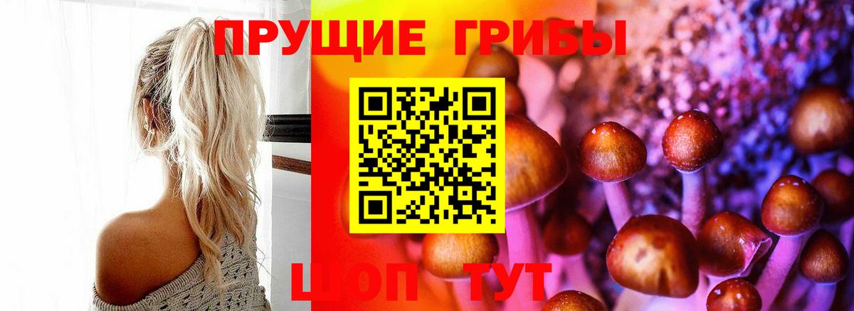 Псилоцибиновые грибы мицелий Краснодар