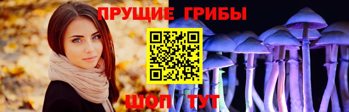Краснодар  Псилоцибиновые грибы Cubensis  Галлюциногенные грибы Cubensis  Вход с VPN 